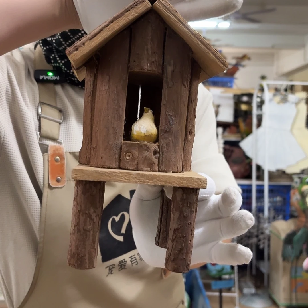 核桃木/黑胡桃（胡桃木）