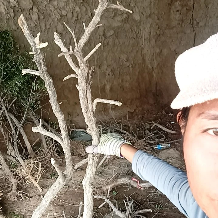 小***活完全开放12345678