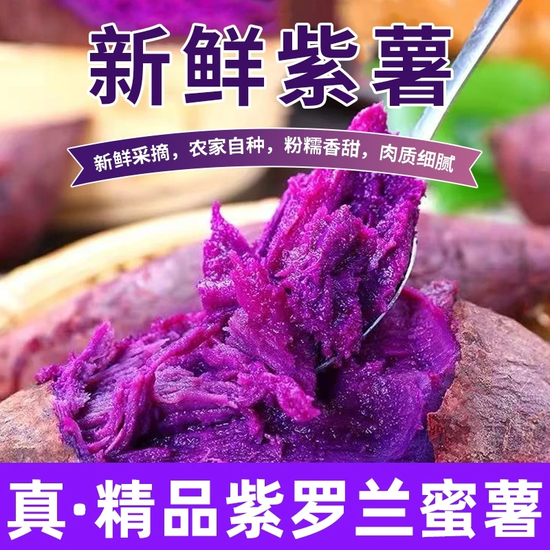 【送礼级别】真紫罗兰紫薯粉糯好吃现挖现发高品质保证正品