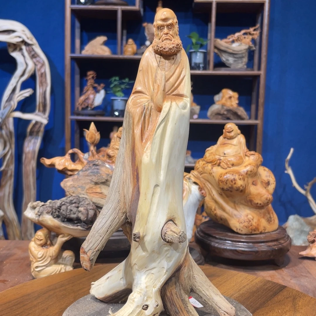 柏木（崖柏）5355485