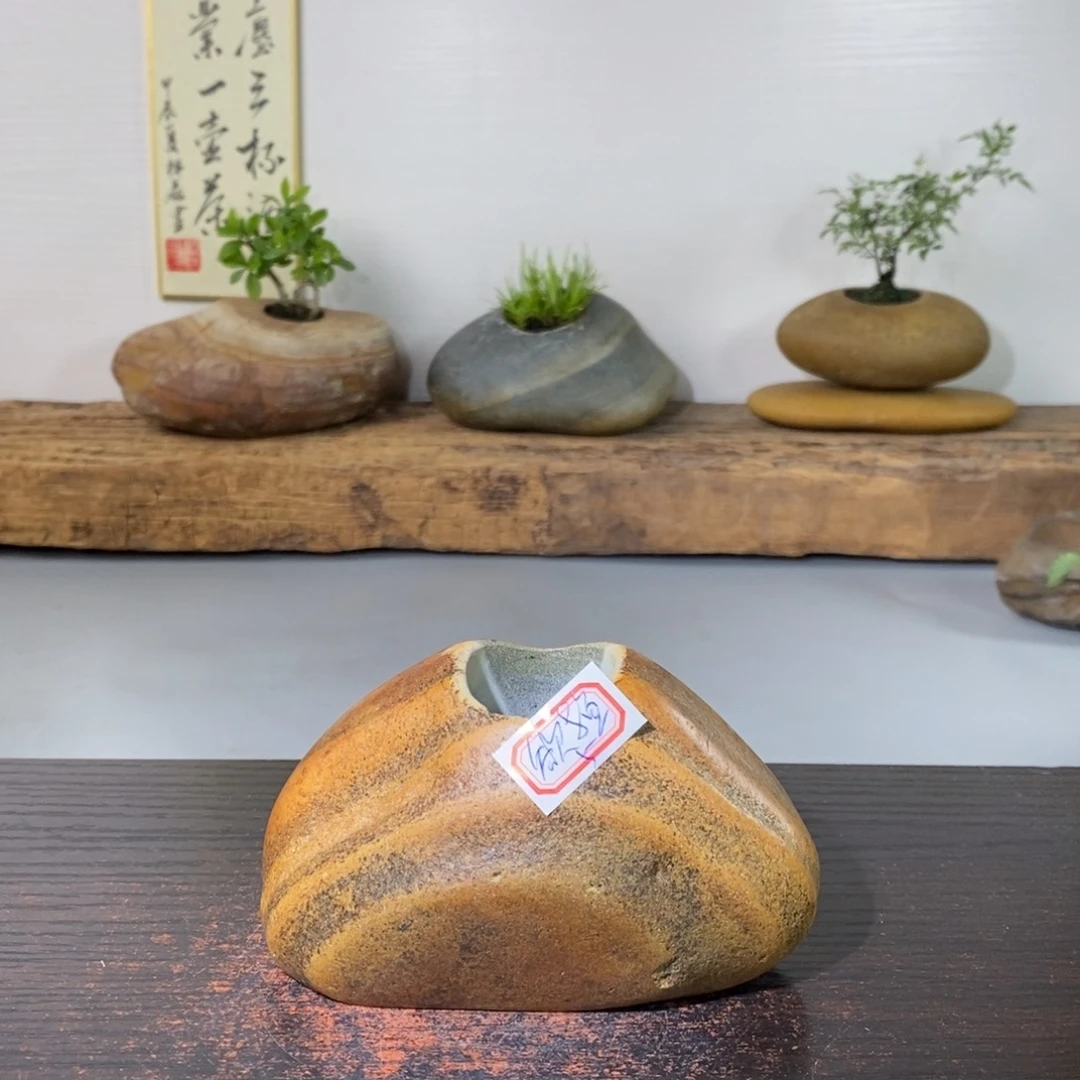 欲**语558889999999