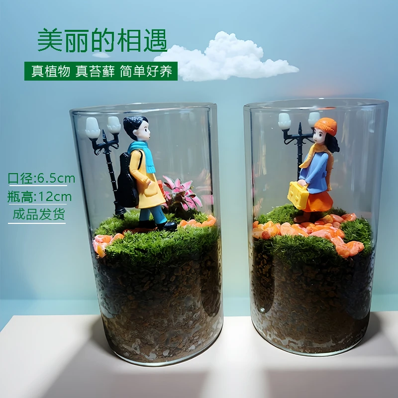 懒人植物桌面绿植情侣相遇苔藓微景观摆件办公室微景观成品生态瓶