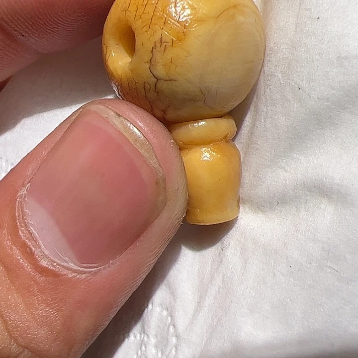 香榧木你的时候你是