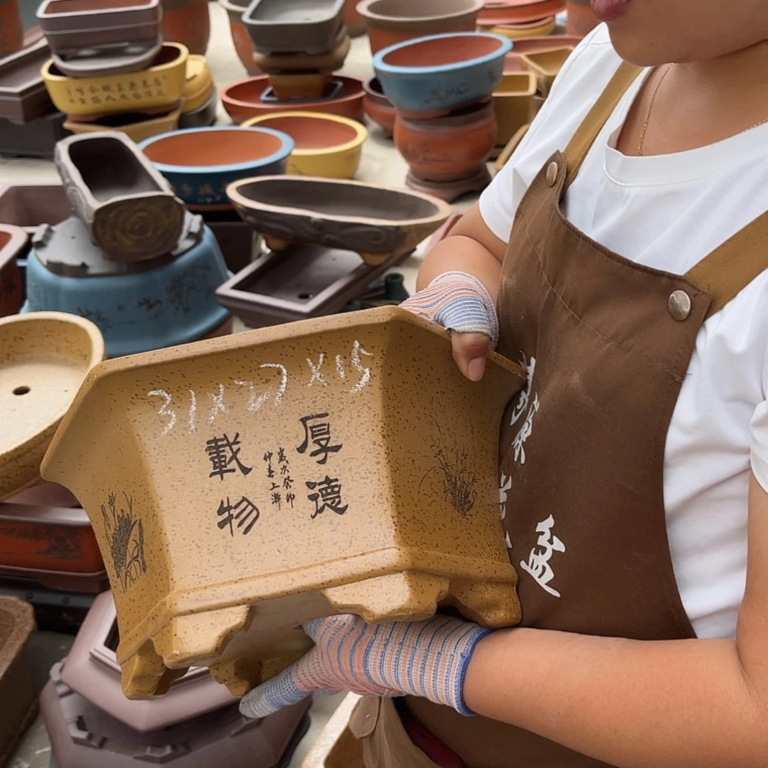 紫砂花盆盆景艺术