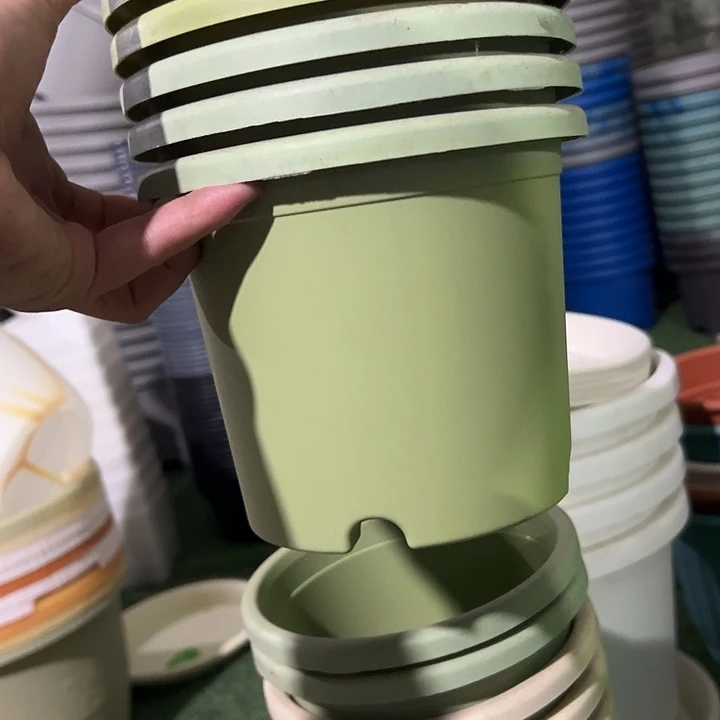 瑕疵四季盆2号5个