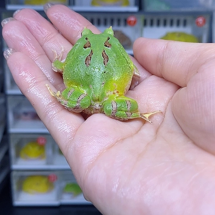 特价秒杀现货特价残