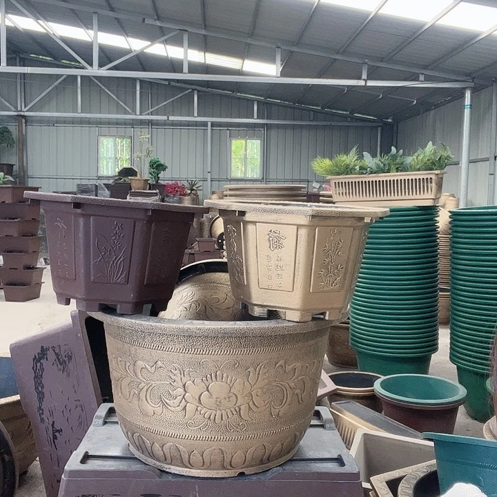 梅花照眼 依然旧风味