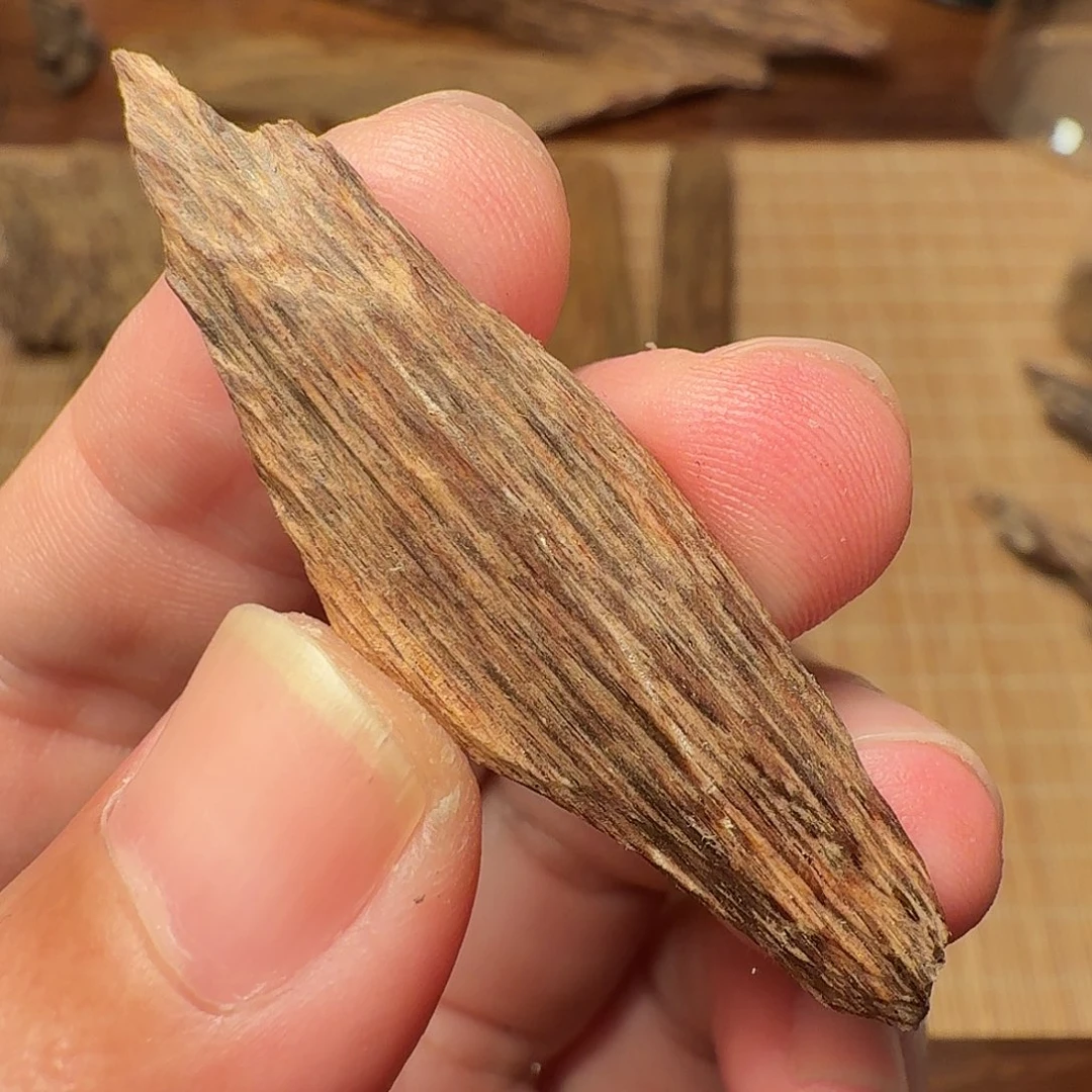 沉香达拉干树心料子1.31g