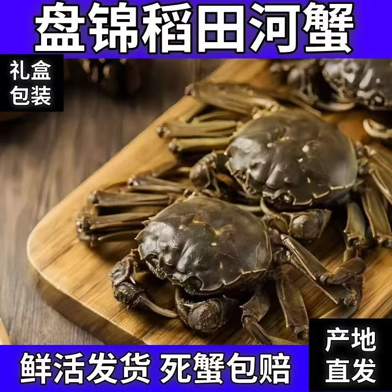 3斤（全母）1.2-1.5两/只+1斤（全公）1-1.3两 稻田蟹 共31只左右