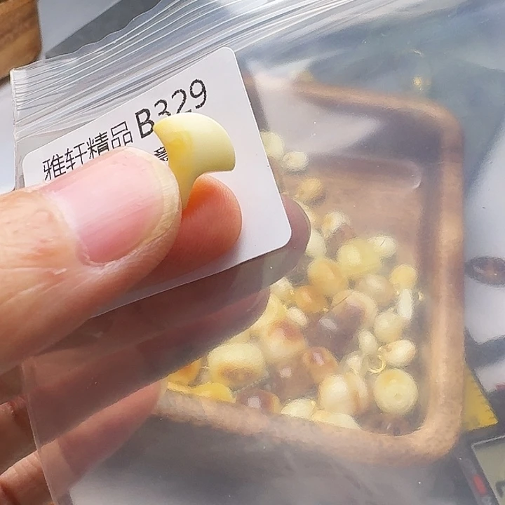 裸石琥珀未镶嵌琥珀