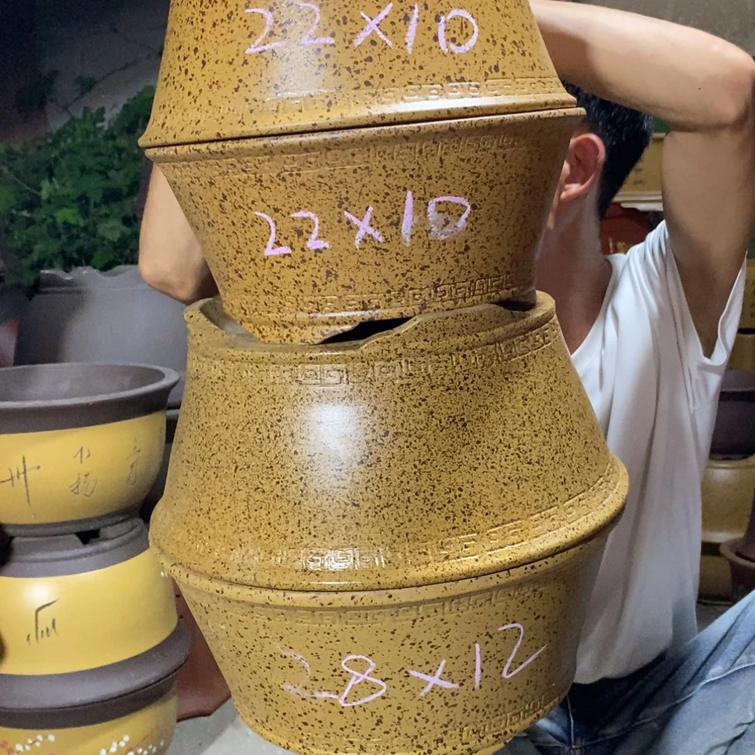 紫砂紫砂紫砂紫砂紫砂