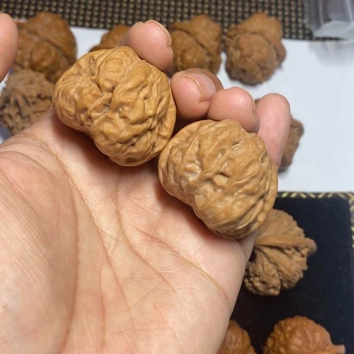 文玩核桃把件蛤蟆头37