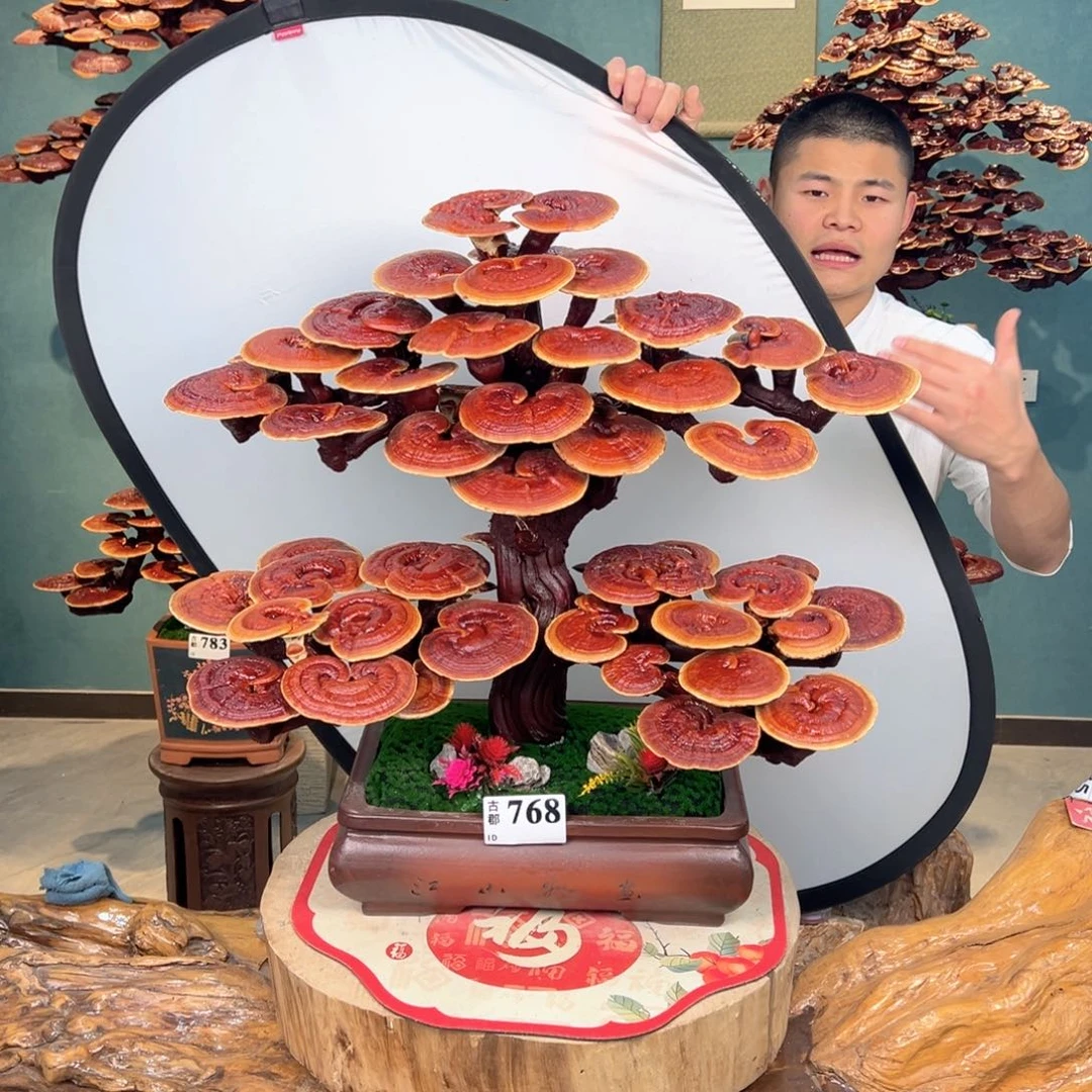 无花朵888888883883