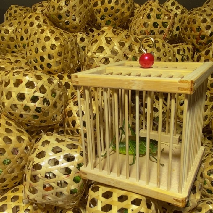 绿蝈蝈带竹笼1个包活包叫