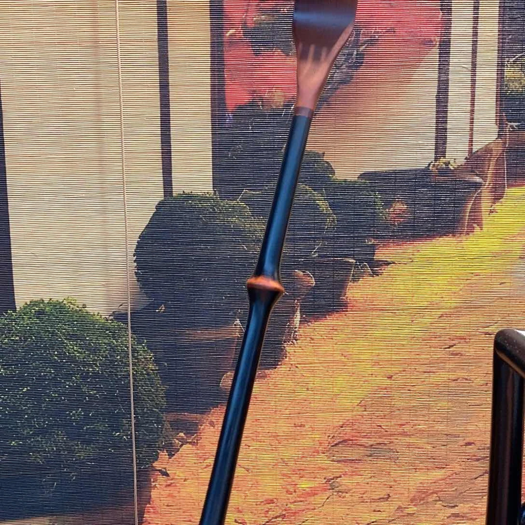 筇竹痒痒挠挠筇竹