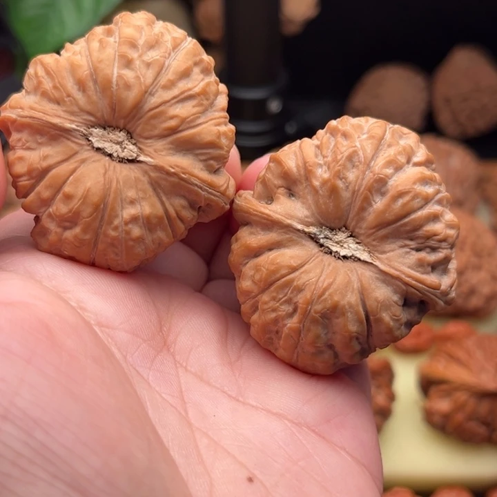 文玩核桃把件44凹底南瓜墩全品