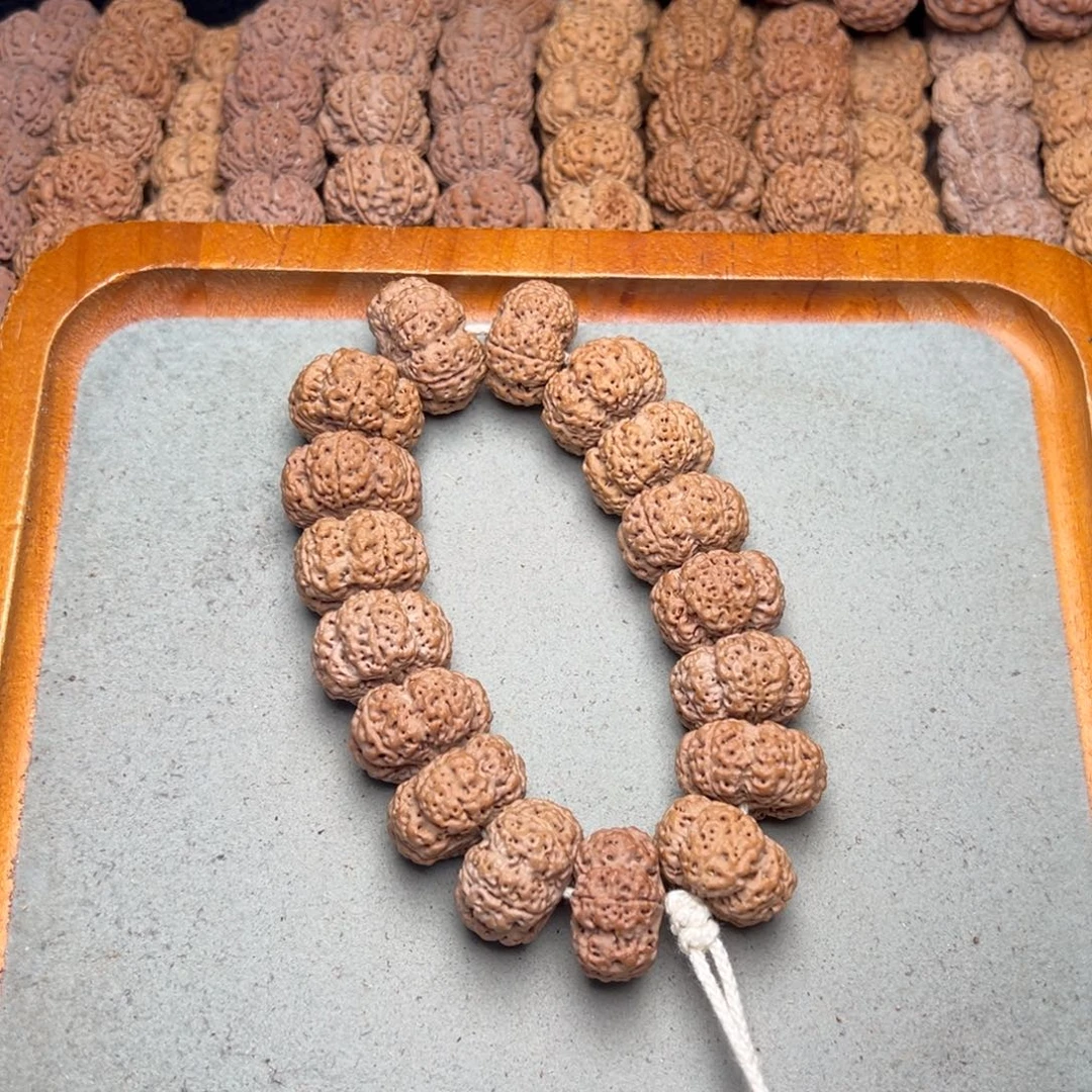 菩提2号金刚菩提蜂王夹板23