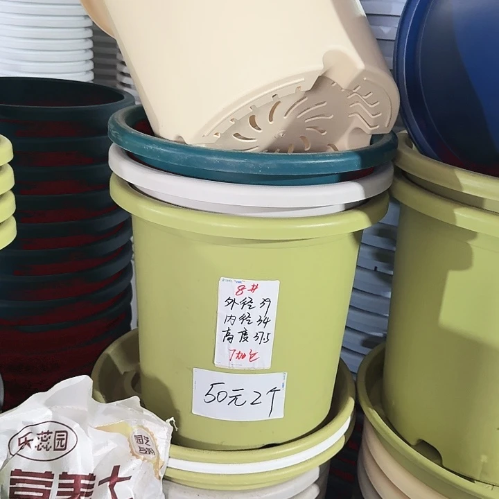 微瑕8#口径40无托米黄5个