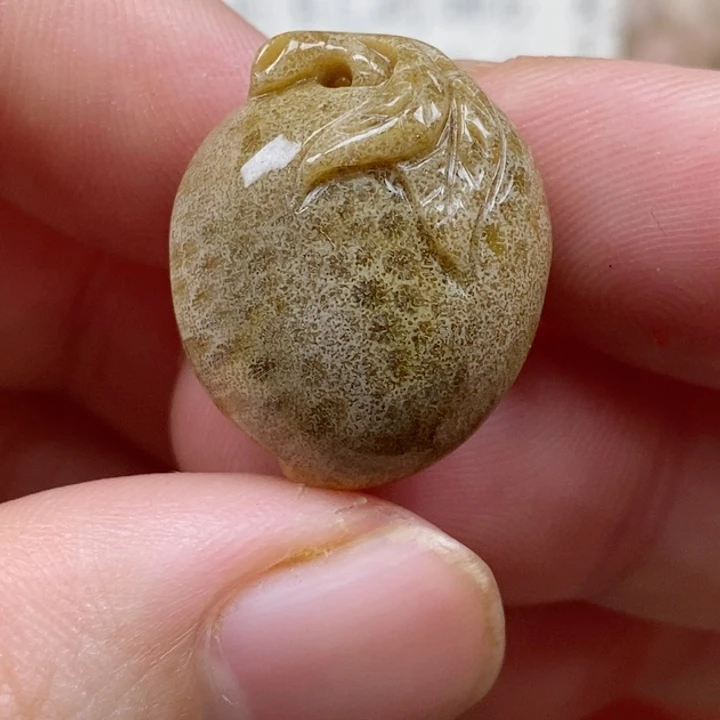 颈饰未镶嵌硅化珊瑚（珊瑚玉）小