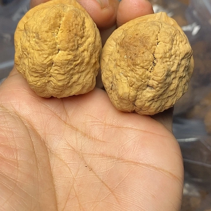 文玩核桃把件云南铁核桃74