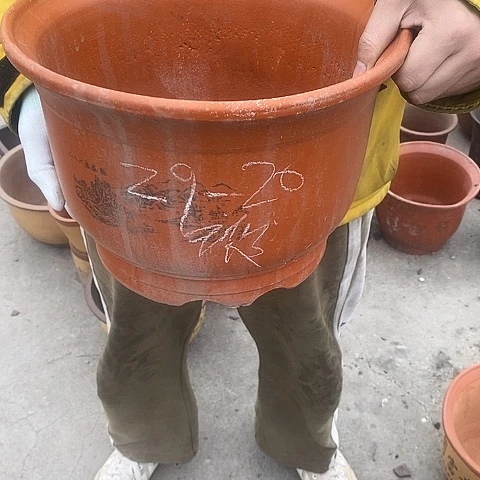 紫砂中国宜兴紫砂花盆，