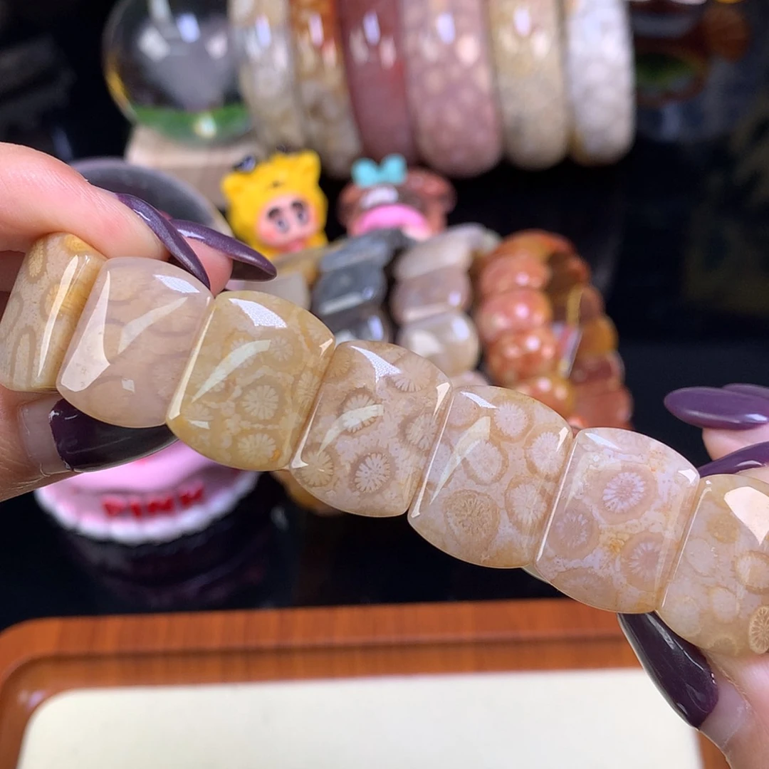【闪购商品】颈饰未镶嵌硅化珊瑚（珊瑚玉）福利200漏128（10号）