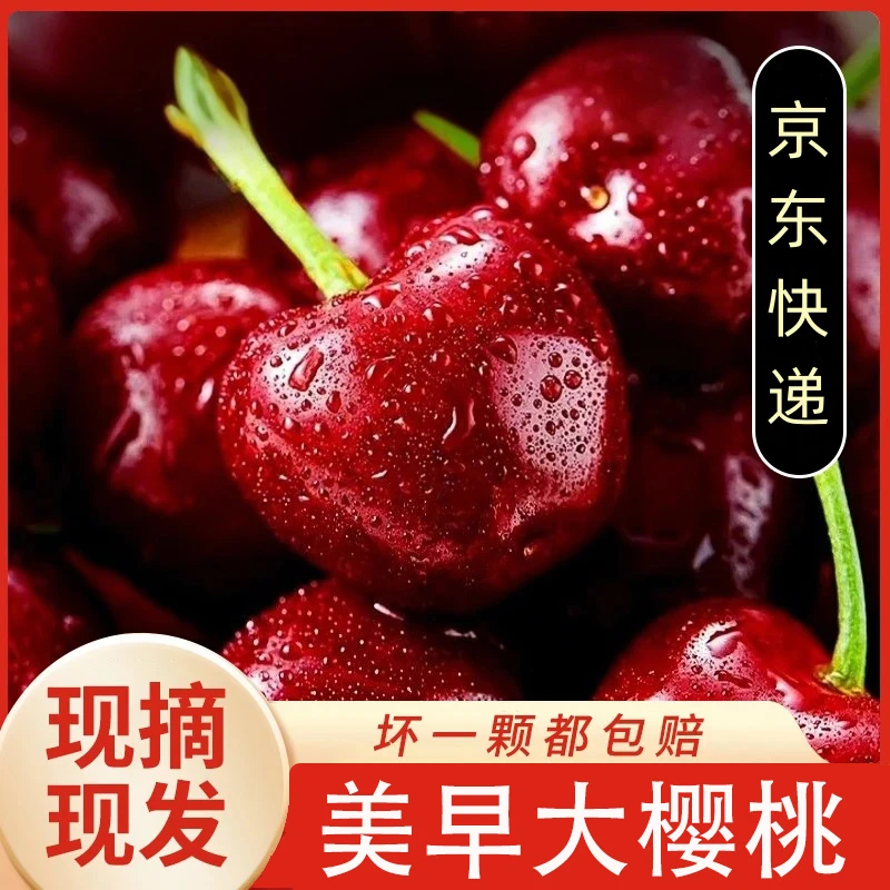 【京东】美早樱桃新鲜当季水果J-5J-2/3/5斤空运/陆运S2