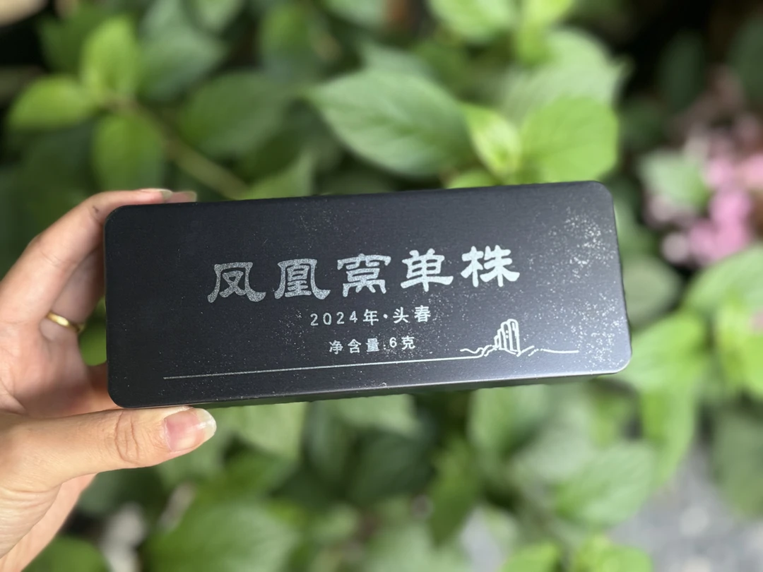 墨江凤凰窝古树单株2025年春（6克/泡）