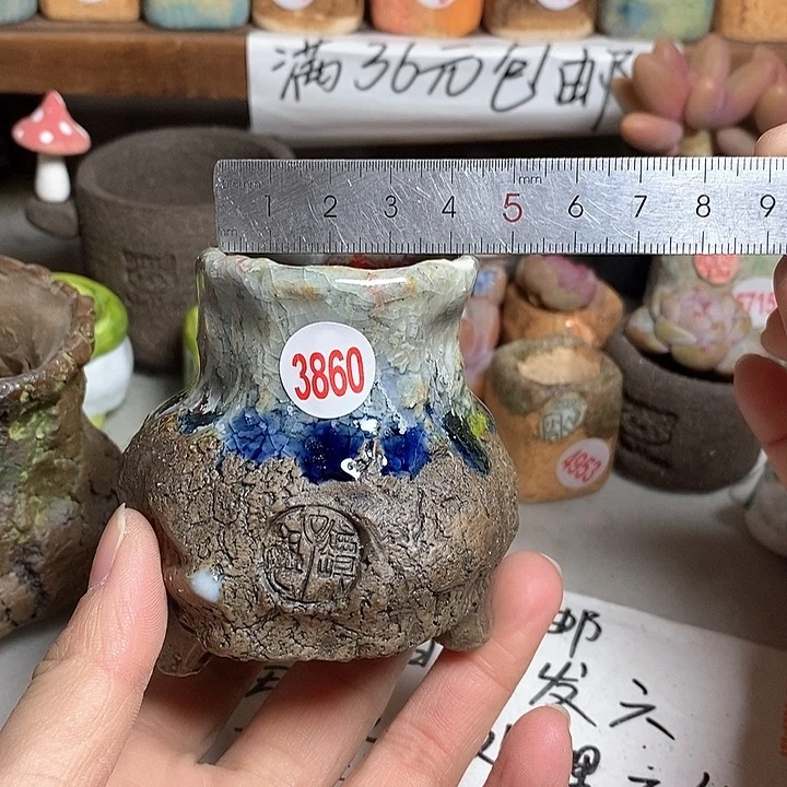 红陶拍5送一个小