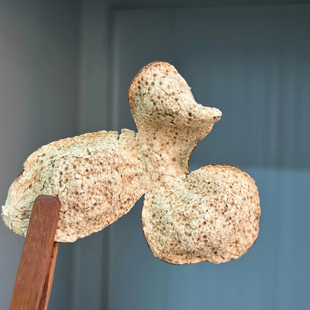 【2018年陈香二红 花香 陈香 醇甜 清凉】圈枝 深吕产区