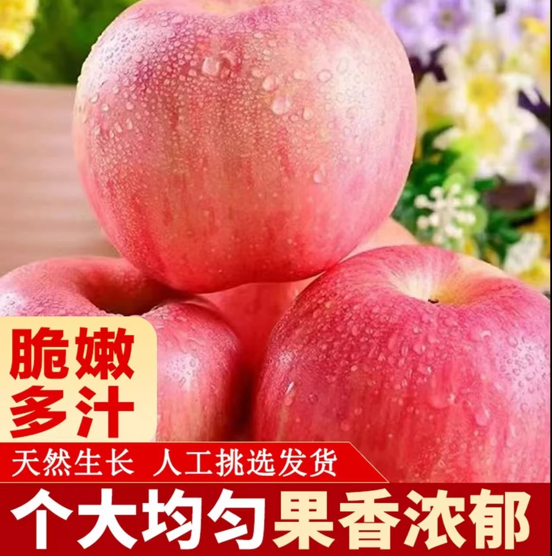 正宗产地直发红富士苹果脆甜多汁新鲜水果