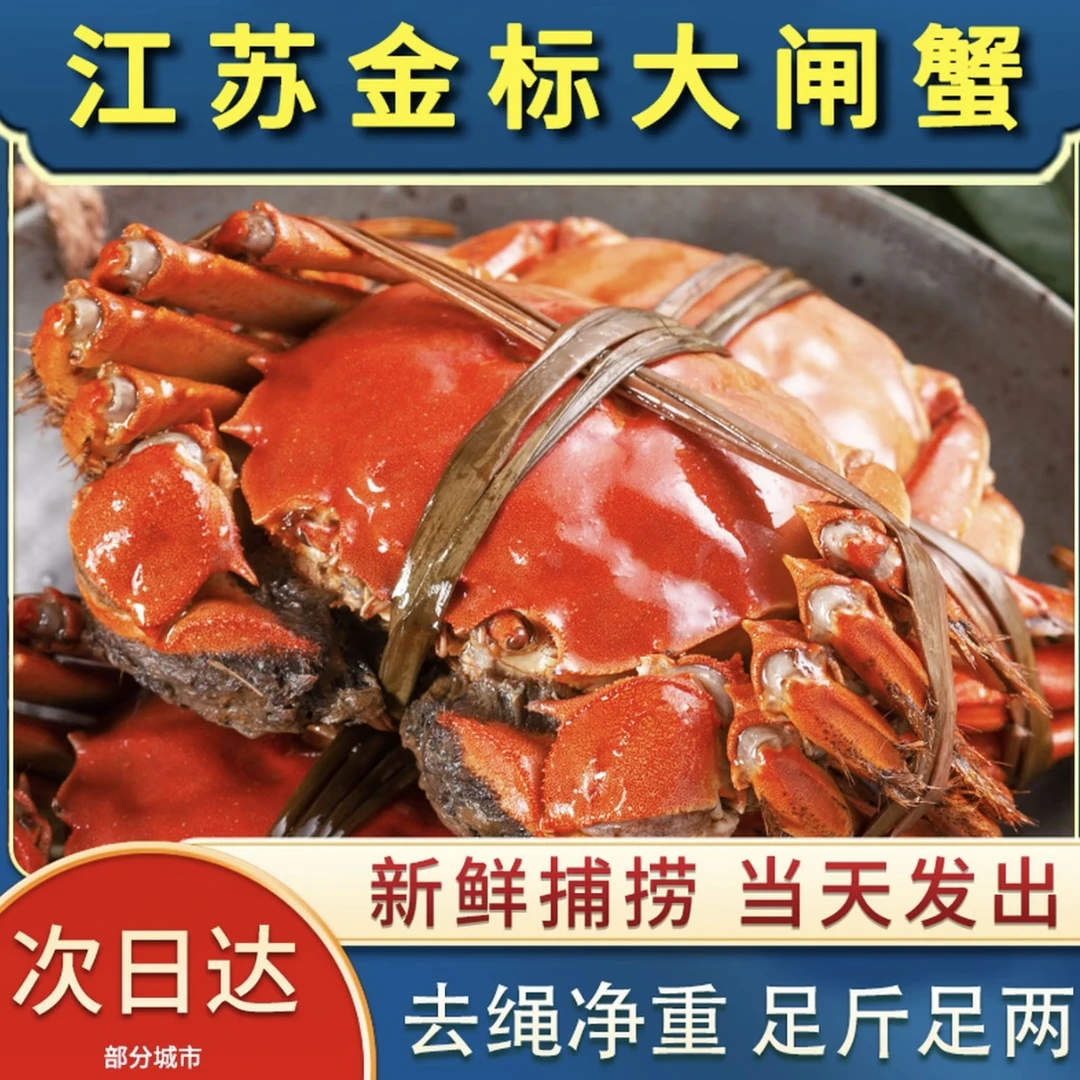 【活蟹现发】鲜活大闸蟹 公母对半 公蟹5两母蟹4两 8/10只装 顺丰空运冷链包邮到家
