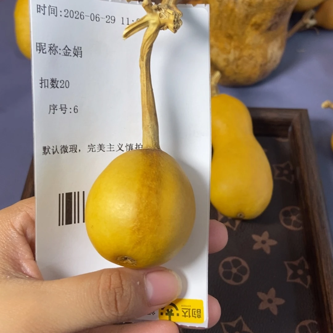 金*哈哈哈哈哈哈哈哈哈
