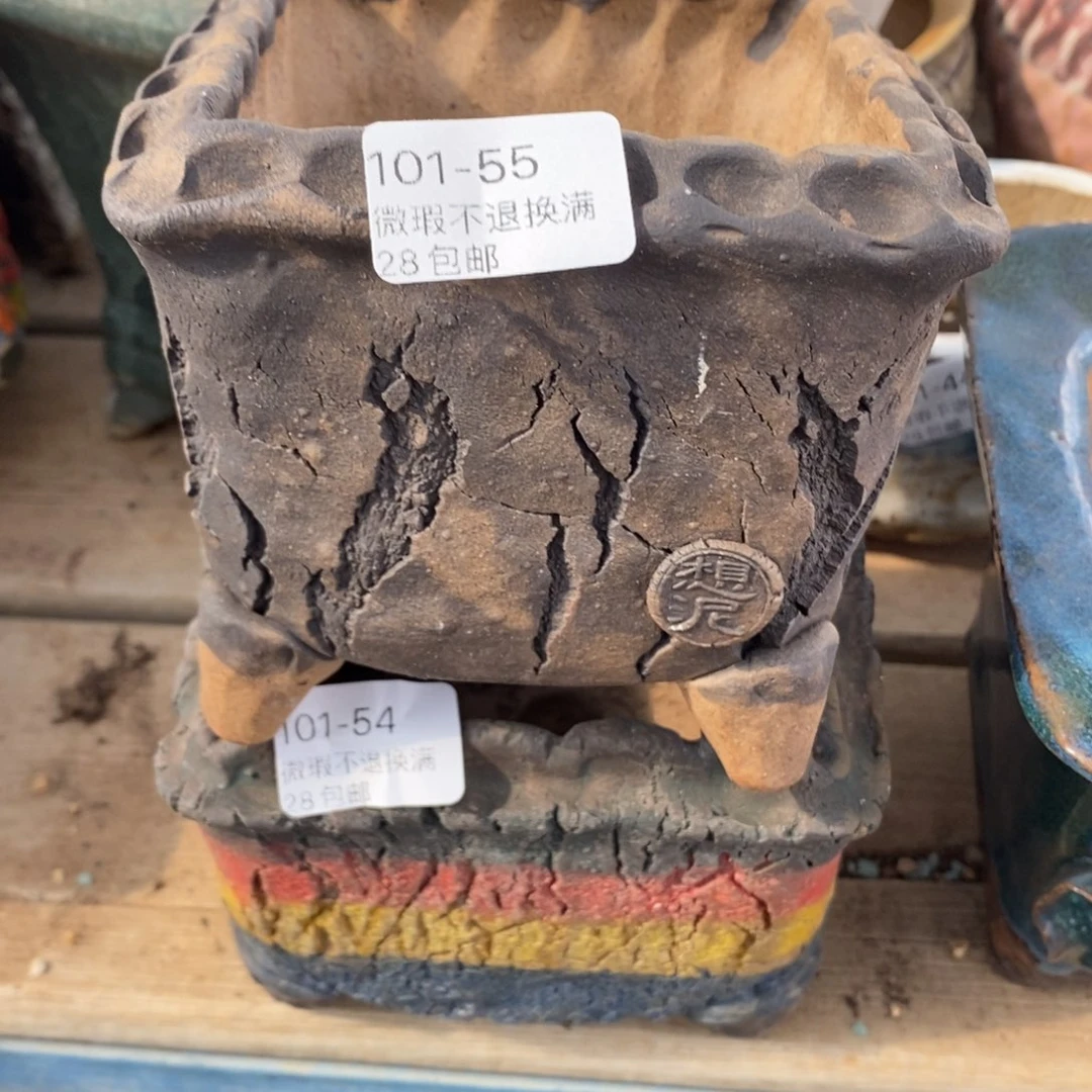 55号花盆内8.5高9.6