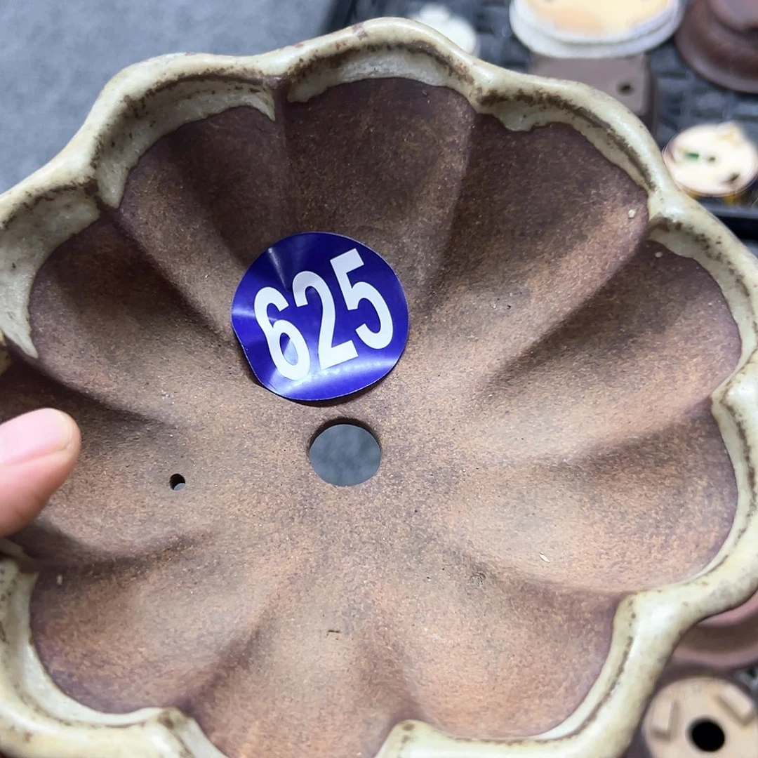枀***廬对你的喜欢就如同这日子只增不减625