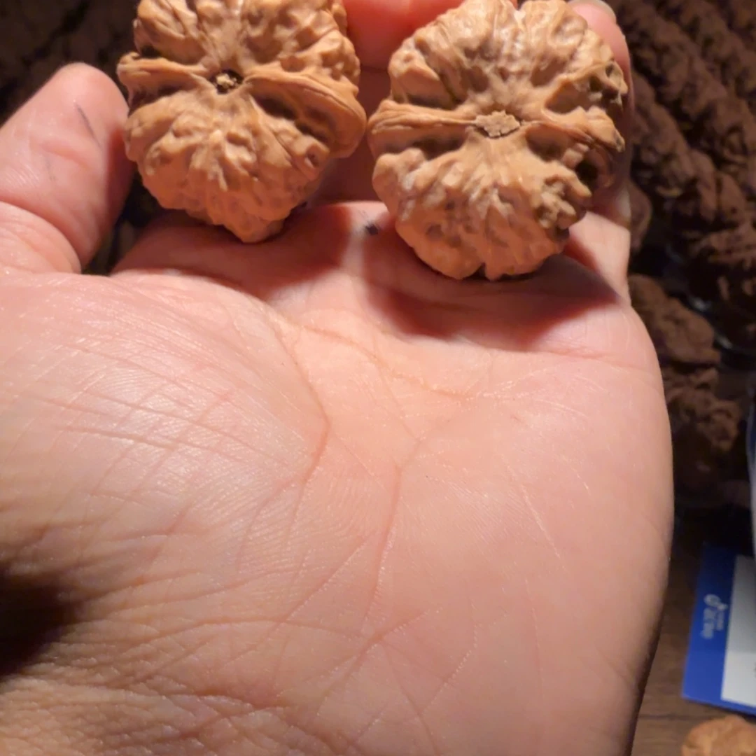 郑***号吊坠文玩核桃蛤蟆的眼睛是真的好看啊我的