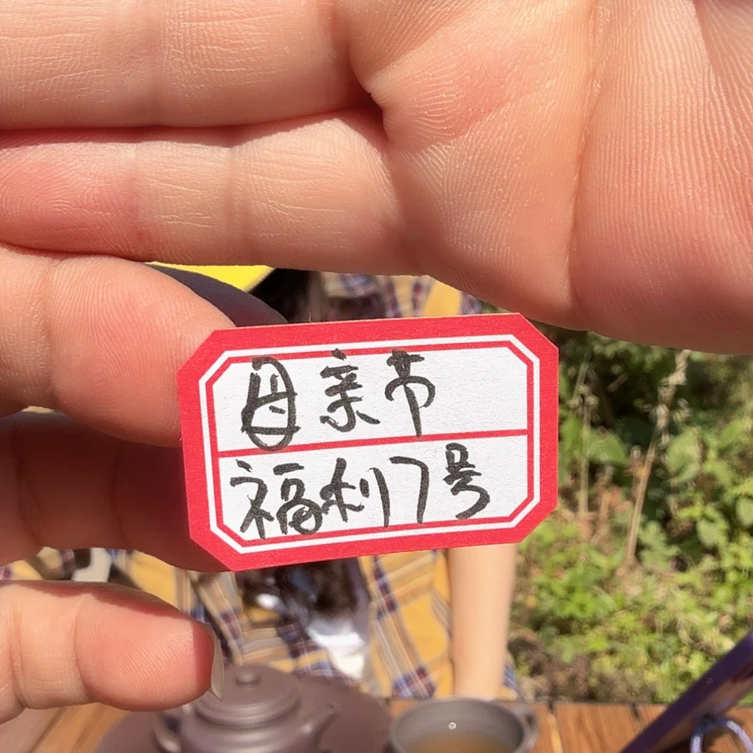 茶壶紫砂原矿紫砂福利7号