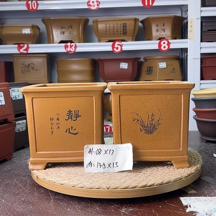 紫砂花盆蛇年大吉