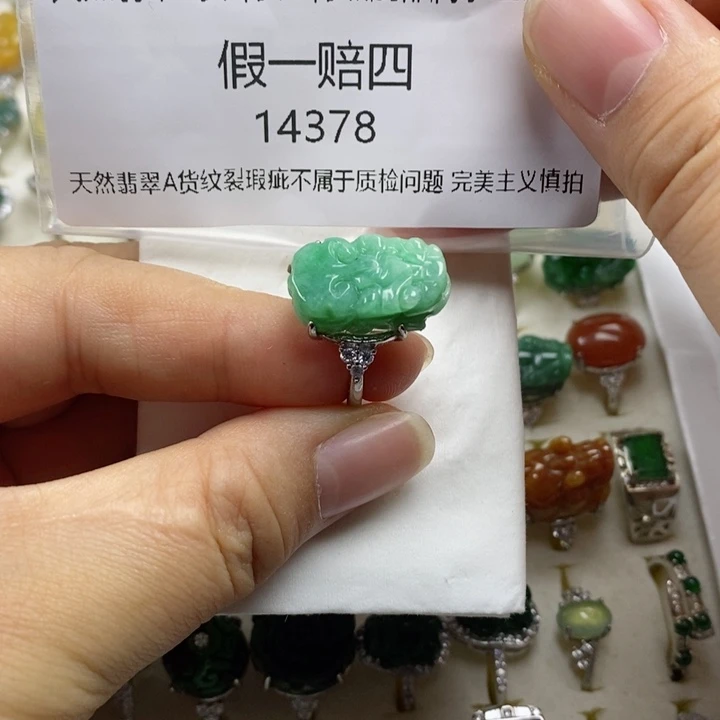 翡翠吊坠(赠链)未镶嵌林**单