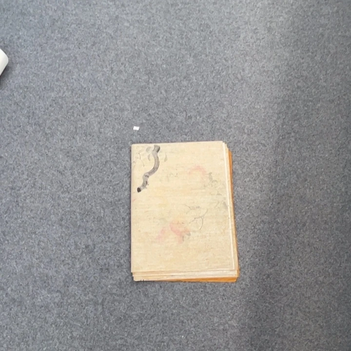 国画国画纯手绘作品