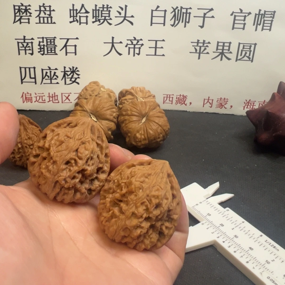 大叶紫檀（黑酸枝木类）