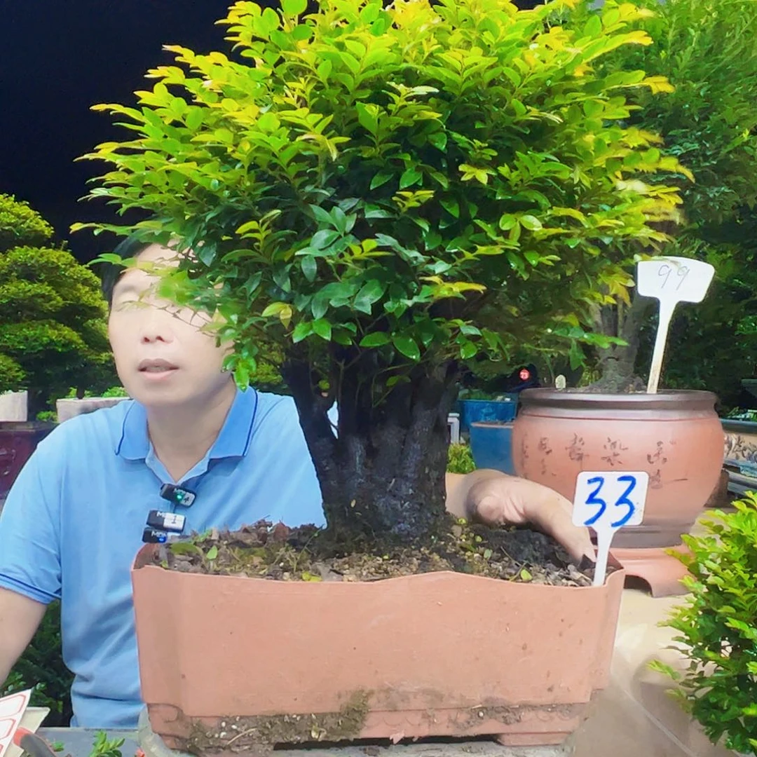 无花朵东****厂12345678