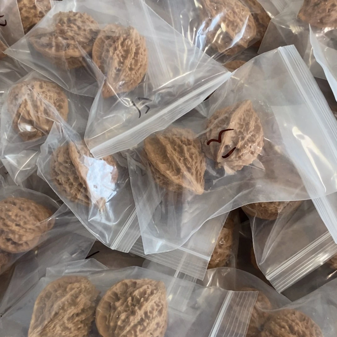 文玩核桃吊坠13陵有瑕疵