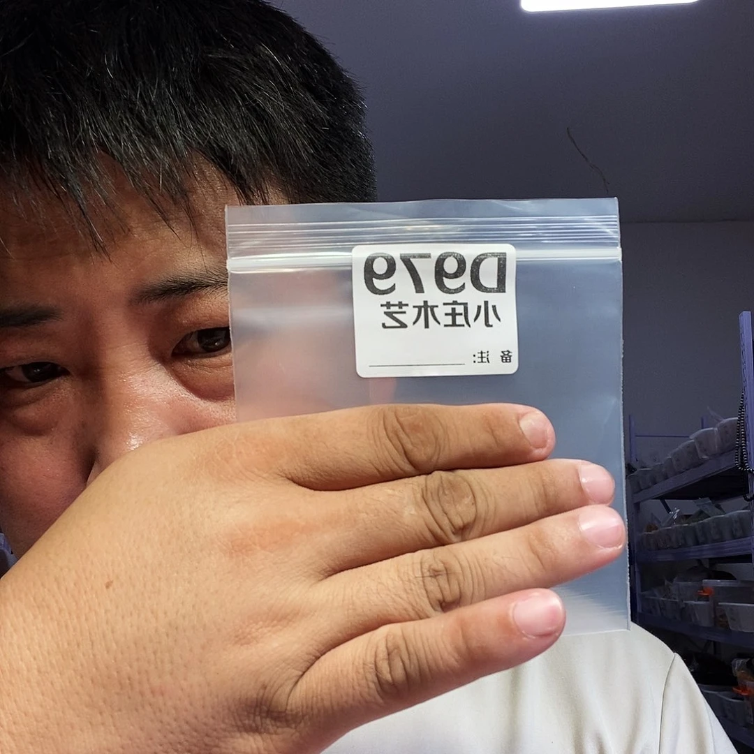 【闪购商品】黑檀木979