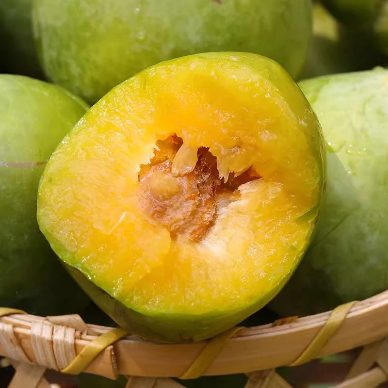 福建古田油奈李新鲜果园直发脱骨李奈李子5斤礼盒装