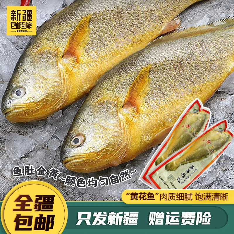新疆包邮到家-福建霞浦鲜嫩美味的冷冻生态大黄鱼拍一发四
