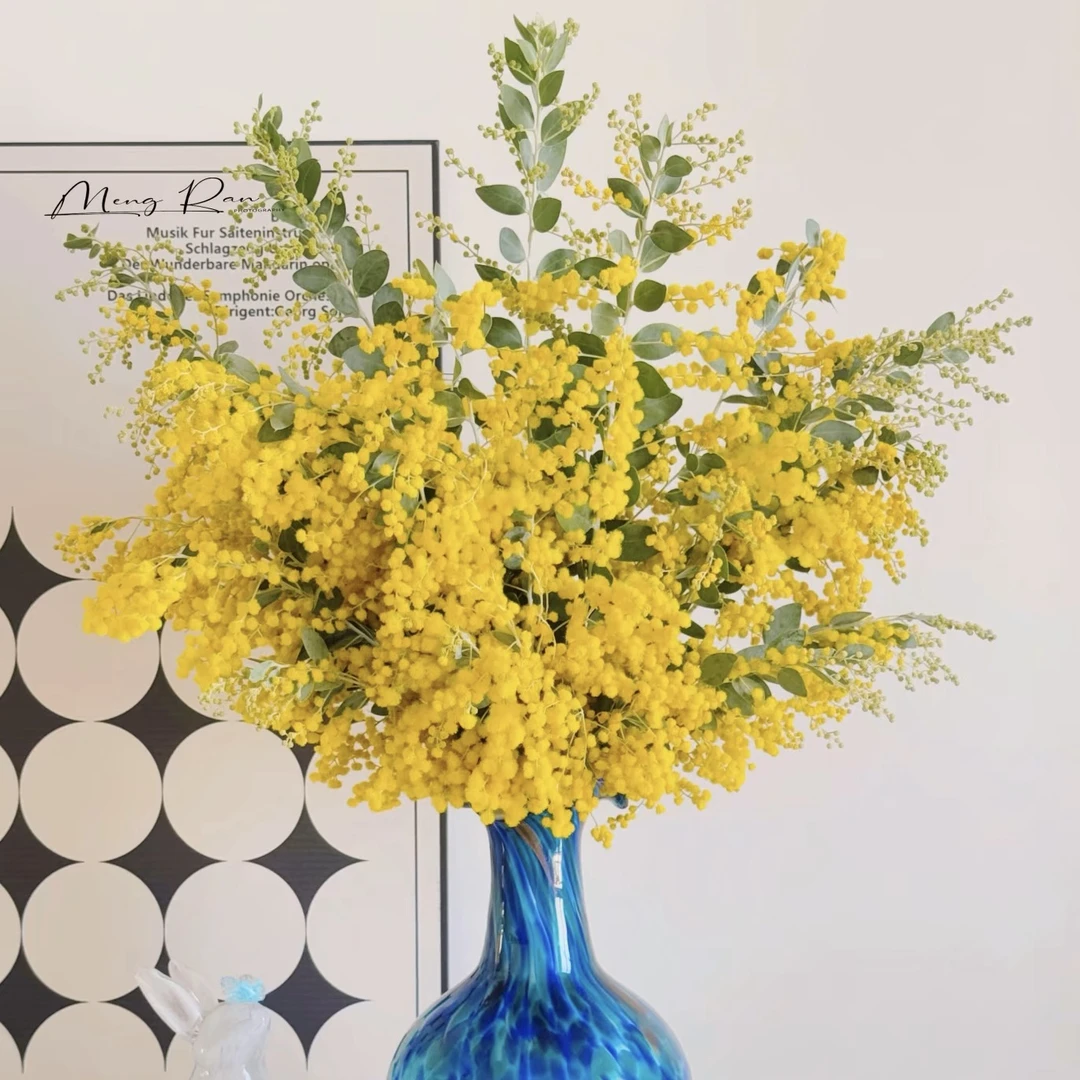 金合欢室内摆件送养护卡