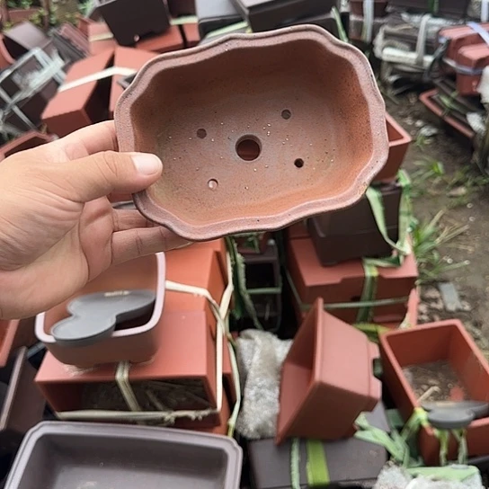在这里可以看的了的是一片