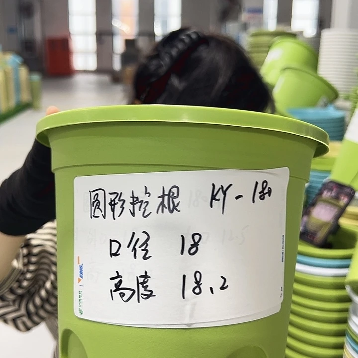 正品圆控根口18高18果绿无托8个