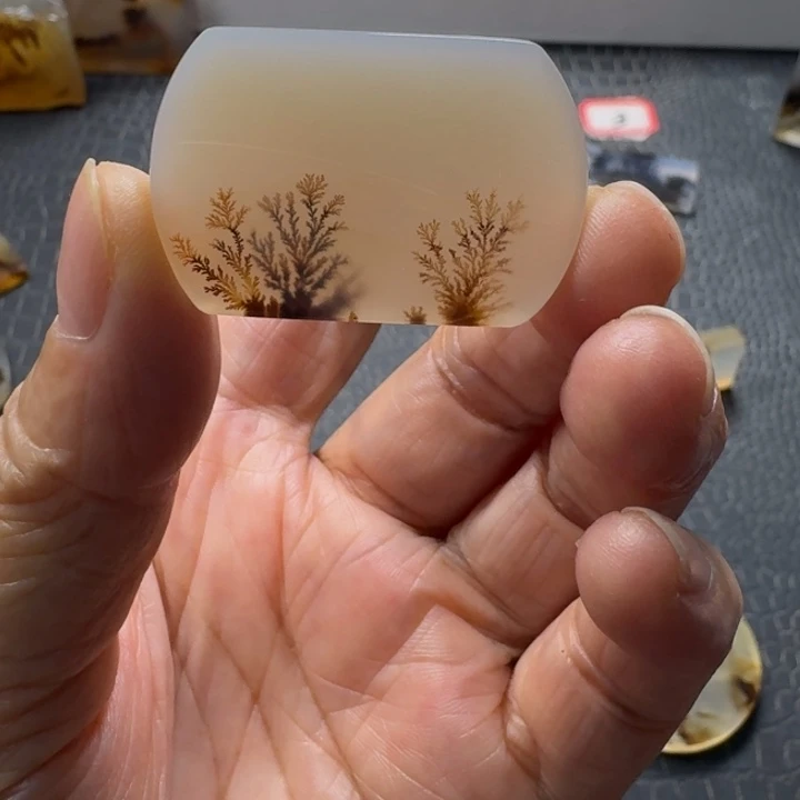 如***戏玛瑙/玉髓未镶嵌珠宝奇石